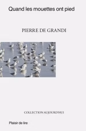 Image du produit